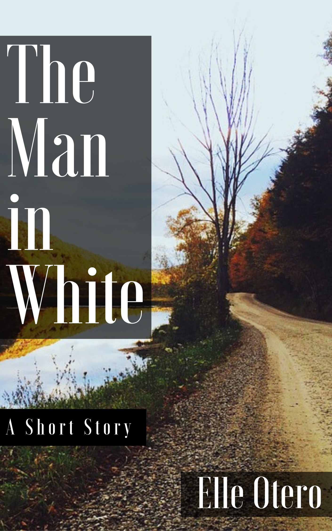The Man in White, book cover